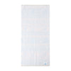 Pokemon Center Fukuoka Renewal Tenugui Towel