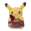 Pikachu Pikachu's Sweet Delivery Plush